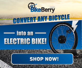 Electric bike kit